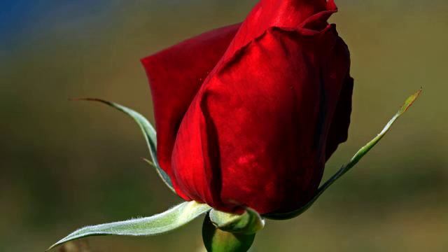 Хорошая песня и видео онлайн смотреть онлайн