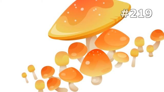 #219. Грибы (Еда и напитки) смотреть онлайн