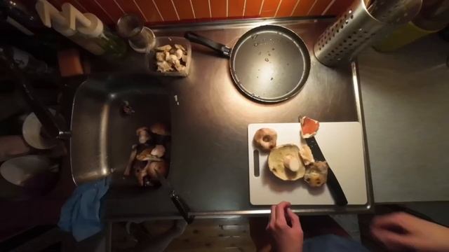 Как я нашел грибы в Финляндии? Удивительная история. смотреть онлайн