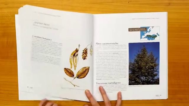 I Tartufi In Toscana