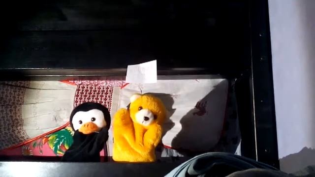 Учим японский язык с Пинни и Рыжиком.