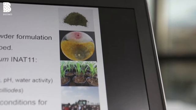 BIOCOMES Research On Biological Control Of Fusarium In Cereals; MassimoBenuzzi -Biogard