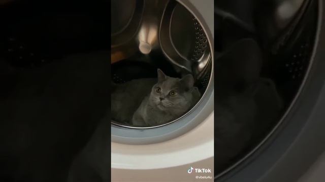 Смешные британцы смотреть онлайн