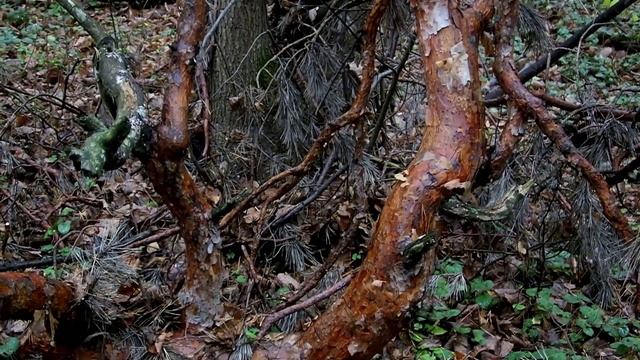 И ДРУГОЕ смотреть онлайн