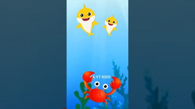 Little Baby Shark Dolphin show fish colors dance at Seaworld, Nursery rhymes kids song смотреть онлайн