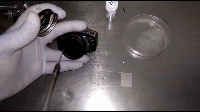 India Ink Positive ||Cryptococcal Meningitis