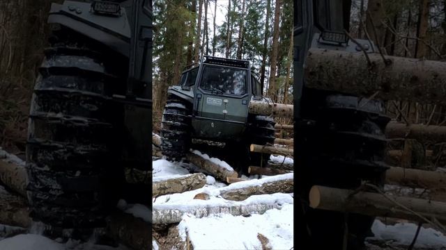 Лесные завалы на вездеходе БРо смотреть онлайн