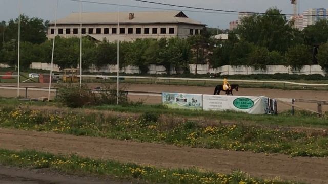 Лошади 2-х лет рысистых пород. 1600 м смотреть онлайн