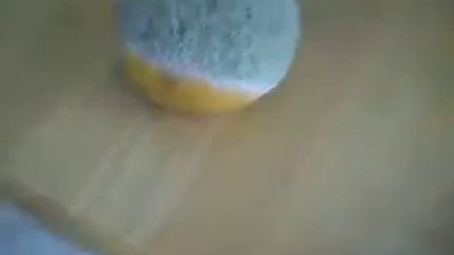 Moldy Orange смотреть онлайн