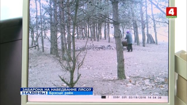 ЗАБАРОНА НА НАВЕДВАННЕ ЛЯСОЎ (Відэа) смотреть онлайн
