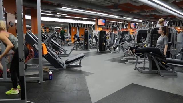 Александр - Zebrafitness смотреть онлайн
