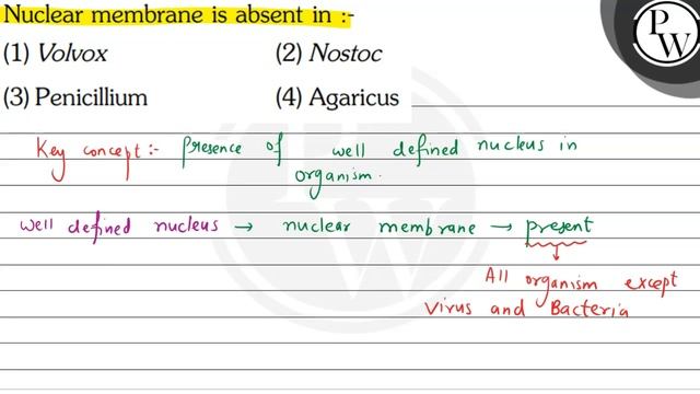 Nuclear Membrane Is Absent In :-
(1) Volvox
(2) Nostoc
(3) Penicillium