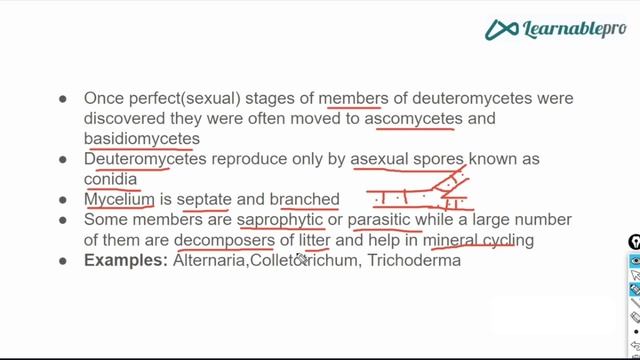BIOLOGICAL CLASSIFICATION- DEUTEROMYCETES Explained in telugu|Learnablepro NEET Telugu| #neet2024 смотреть онлайн