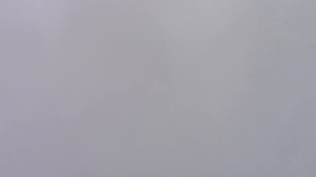 николаевские голуби рп Первомайский Тамбовской обл. 19 марта 2017 года смотреть онлайн
