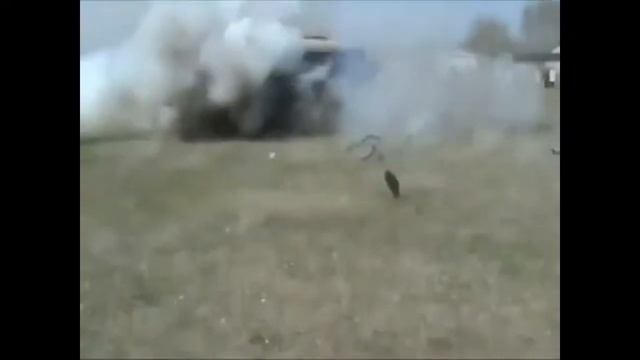 Грибы-тает лёд Спецнас