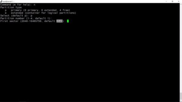 Ubuntu Disk Partition Creation using fdisk command |  Disk Management in Debian Based Distros - I