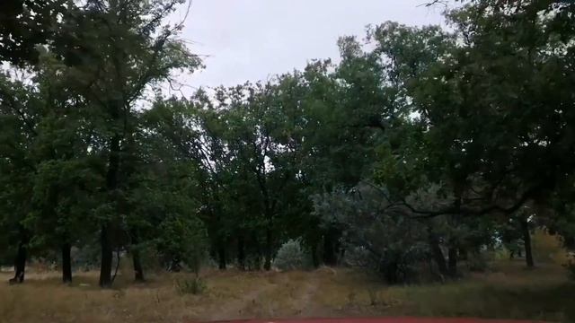 Грузди для Друзей ))) смотреть онлайн