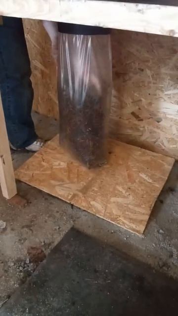 Набивка блоков вешенки!