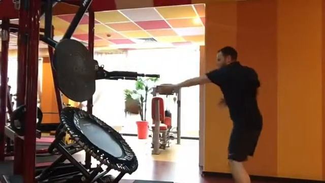 Спорт Зебра смотреть онлайн