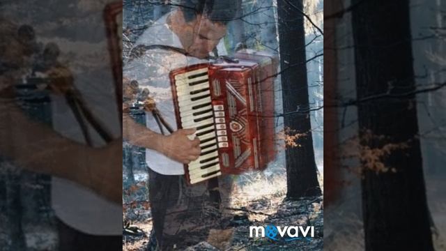 Владко Марков'Павле пиянице смотреть онлайн