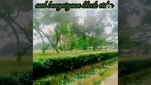 JON Vai ka video asca Laga to like comment Sher karanya na vola asa video harden dikna milta rahaga смотреть онлайн