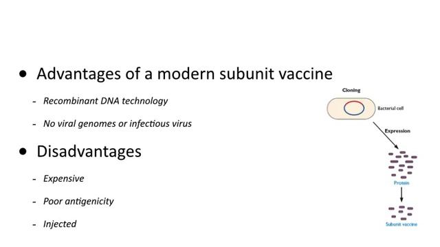 Virology 2014 lecture #19 - Vaccines смотреть онлайн