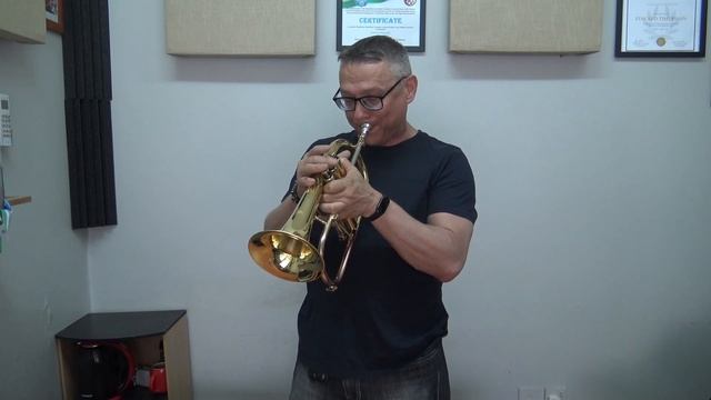Обзор флюгельгорна Thomann FH-900J Raw JAZZ Bb Flugelhorn Review