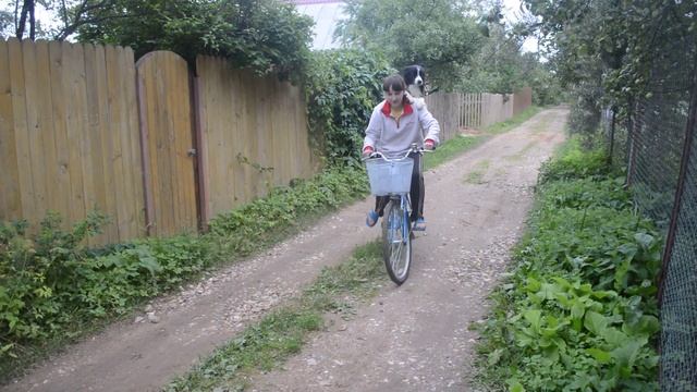 катаемся на велосипеде)) смотреть онлайн