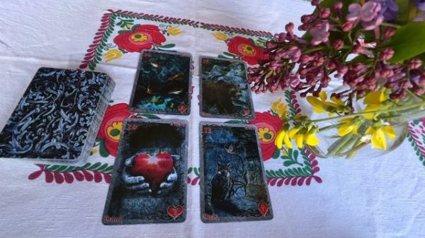 Чувства и мысли мужчины.Что Ожидает Вас в Любви и Личной Жизни? #Колена Таро