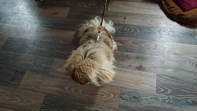 Наша Лялька захотела персональный диван. смотреть онлайн