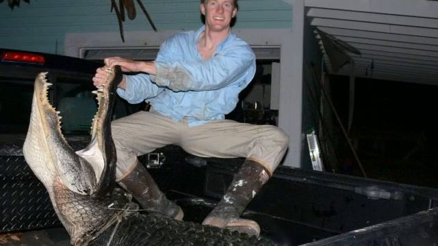 Alligator Hunt Florida Hickmans - Aug 2011 смотреть онлайн