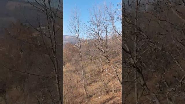 Foraje puturi смотреть онлайн
