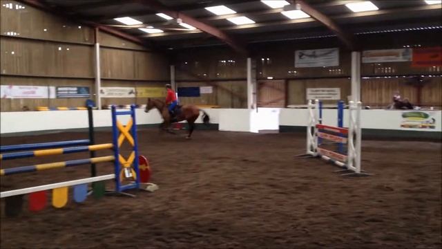 SOLD ULARI Grade B showjumper by Corland смотреть онлайн