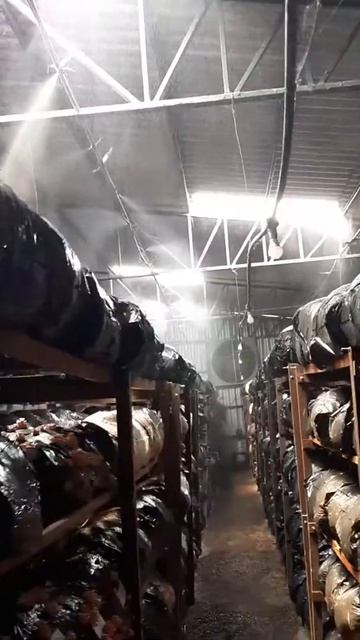 Aqui A Gente Faz Até Chover