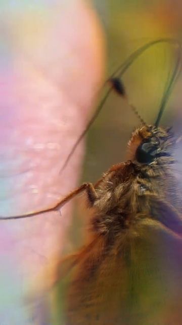 18.06.2022 смотреть онлайн