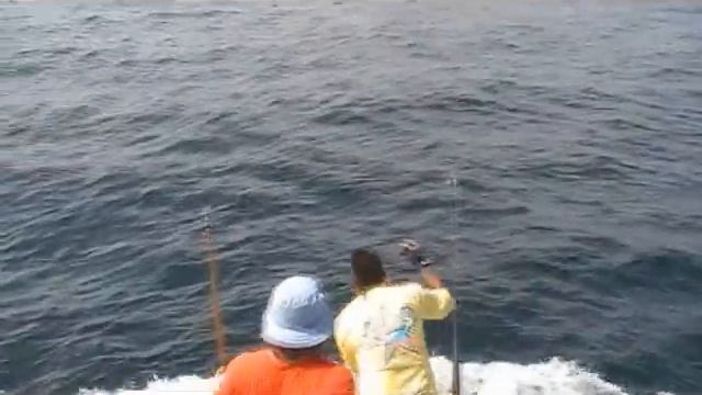 Andrew's Blue Marlin смотреть онлайн