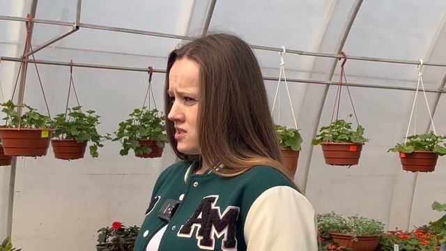 З теплиці на клумбу: як у Долині вирощують квіти, які прикрашатимуть місто | Репортаж смотреть онлайн