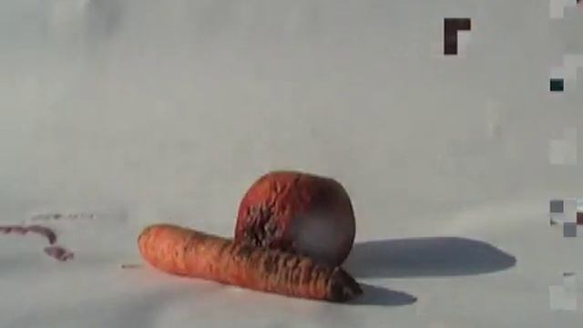 zatisi/stillife смотреть онлайн