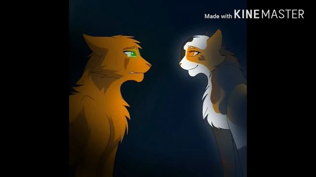 Коты воители - Идиоты (ссылка на музыку). смотреть онлайн