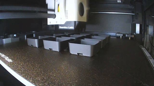 Seed Starting System - Printed on Anycubic Kobra 2 Neo and Bambu Lab P1S смотреть онлайн