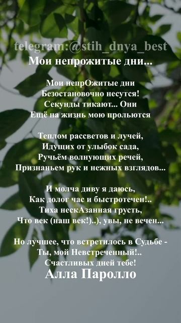 Мои непрожитые дни... #стихи #стихиолюбви #поэзия #стих