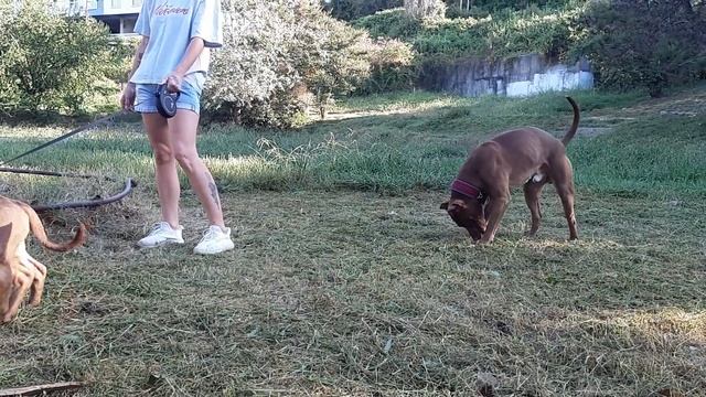 2 сентября 2022 г. смотреть онлайн