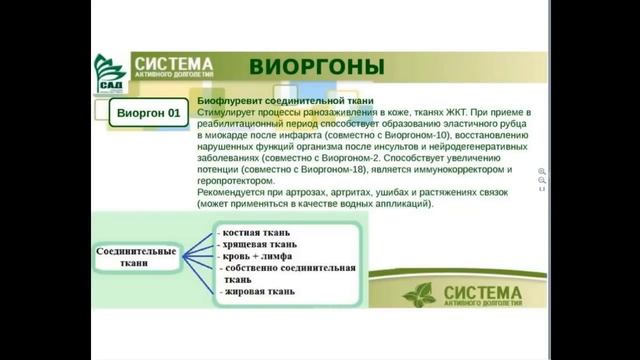 Виоргон 1 решает многие проблемы здоровья Базовый виоргон