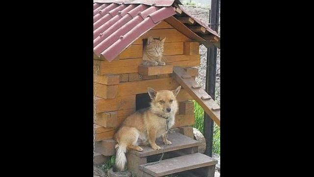 Стихи на Русском Языке(4 часть)