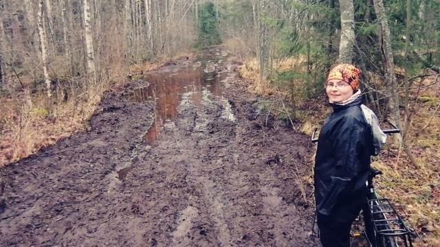 Круголесное вело ПВД