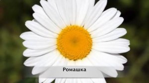 100 слов для детей 1-3 года! Развивающие мультики для детей #2