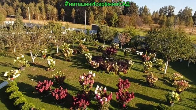 ЗДРАВСТВУЙ МИР 🤗! #наташинИсерёжинСАД смотреть онлайн