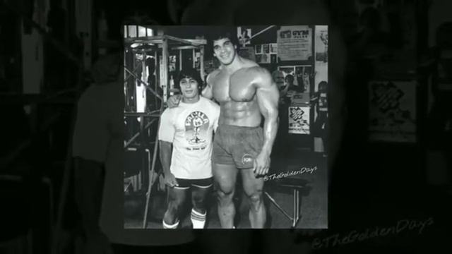 Danny Padilla The Giant Killer смотреть онлайн
