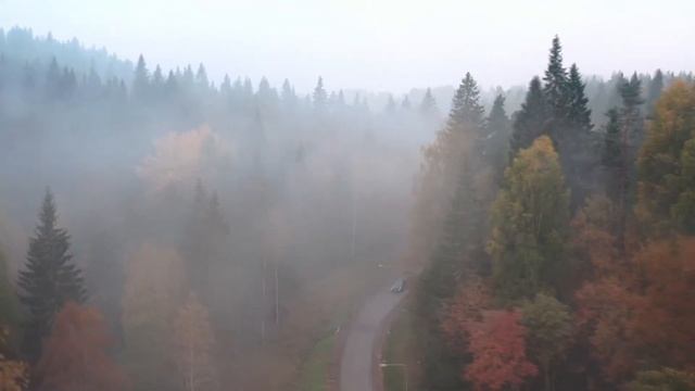 Познай себя / Удаление - СТИХИ ДЛЯ ДУШИ смотреть онлайн