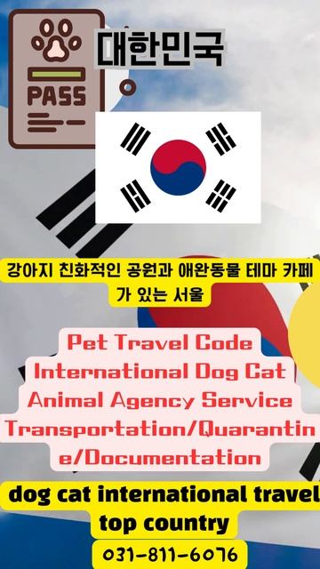 반려동물 강아지 고양이 국제 여행하기 좋은 나라-3 Good Pet Travel Travel Countries - 2 Animal Transport South Korea #쇼 смотреть онлайн